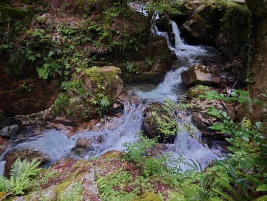 京都・山科ウォーキングツアー　地元ガイドと行く 偉大な自然と伝説が残る牛尾山ハイキング＜1名～／約3時間半／京都市＞