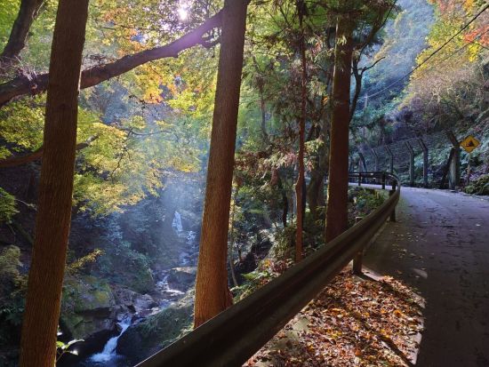 京都・山科ウォーキングツアー　地元ガイドと行く 偉大な自然と伝説が残る牛尾山ハイキング＜1名～／約3時間半／京都市＞