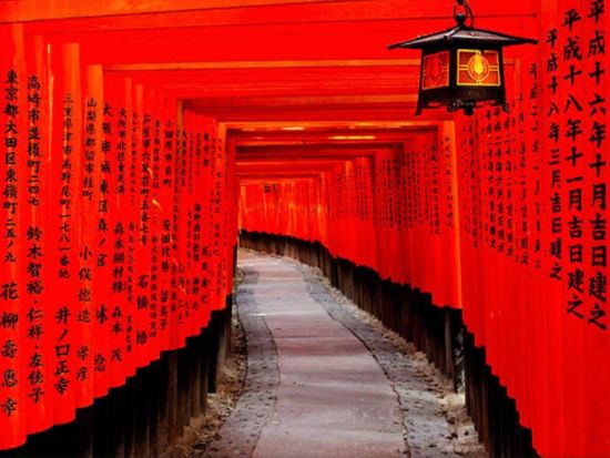 大阪発 日帰りバスツアー 京都＆奈良の有名観光地を周遊！伏見稲荷大社＋金閣寺＋嵐山＋奈良公園＜英語ガイド＞