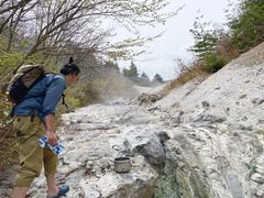 IMG_5245