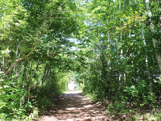 Island Drive -Lovers Lane