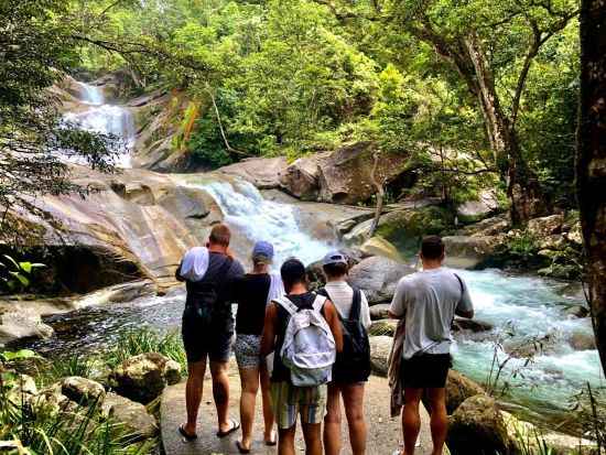 アサートン高原観光ツアー　熱帯雨林散策＆滝の天然ウォータースライダー体験 ＜昼食付き／ケアンズ発＞