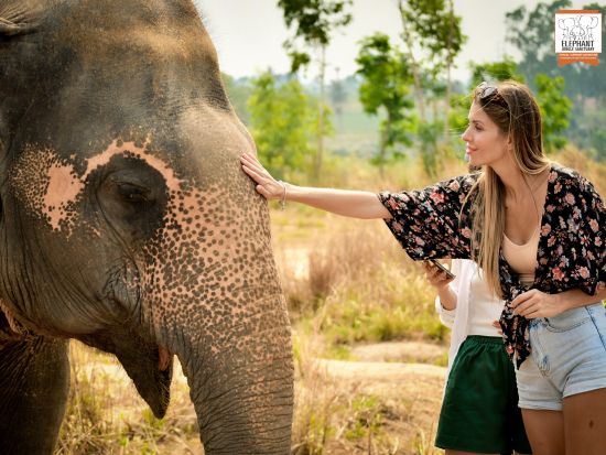 【パタヤ発】ゾウの保護区でふれあいエコツアー 餌やり・水浴び・泥んこスパ・紙づくり体験 写真撮影サービス付き！＜午前・午後／英語ガイド／食事付／ホテル送迎付＞
