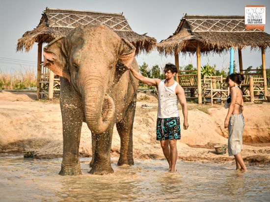 【パタヤ発】ゾウの保護区でふれあいエコツアー 餌やり・水浴び・泥んこスパ・紙づくり体験 写真撮影サービス付き！＜午前・午後／英語ガイド／食事付／ホテル送迎付＞