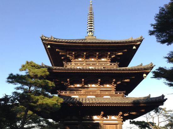 三渓園9