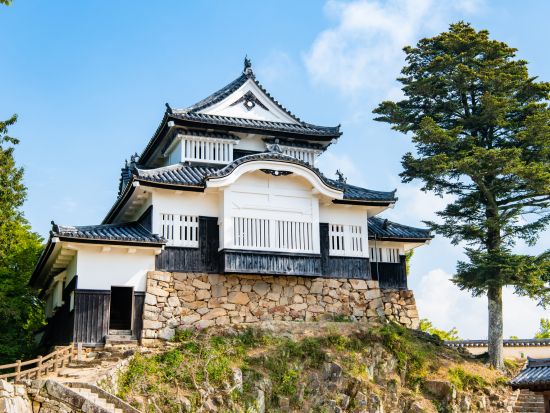 貸切観光タクシー ノスタルジック岡山 吹屋ふるさと村・紺屋川美観地区・備中松山城を訪れる 空港送迎も可＜6時間／1～9名／岡山・倉敷発着＞by倉敷タクシー