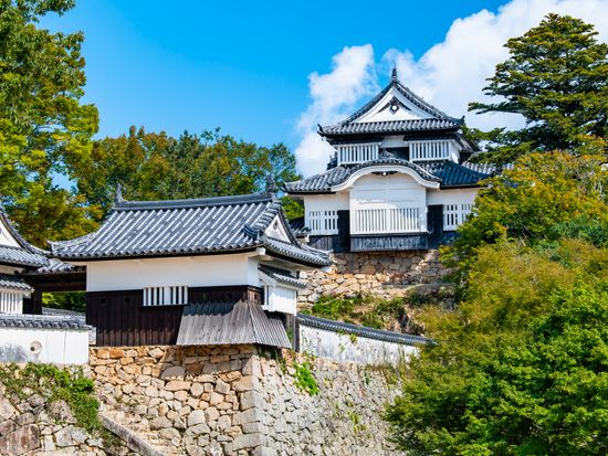 pixta_備中松山城_本丸_88464674_M