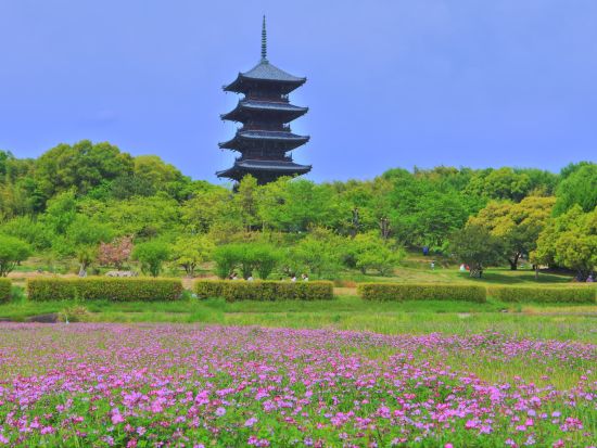貸切観光タクシー 桃太郎伝説ゆかりの地「吉備路」吉備津神社で岡山の歴史を紐解く旅 空港送迎も可＜2時間／1～9名／岡山・倉敷発着＞by倉敷タクシー