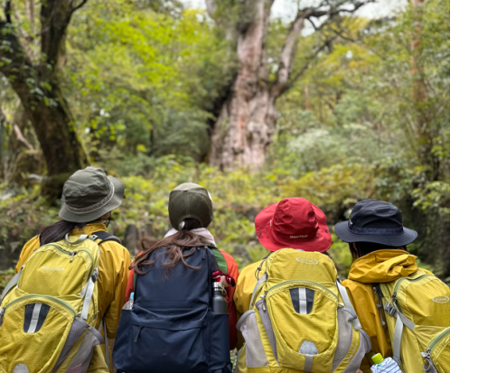 縄文杉日帰りトレッキングツアー　屋久島PROガイドがご案内！貸切オプションあり 1名参加OK　屋久島のおやつ付き！by GUIDE OFFICE 屋久島