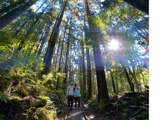 縄文杉日帰りトレッキングツアー　屋久島PROガイドがご案内！貸切オプションあり 1名参加OK　屋久島のおやつ付き！by GUIDE OFFICE 屋久島