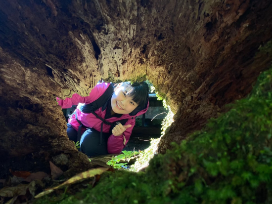 縄文杉日帰りトレッキングツアー　屋久島PROガイドがご案内！貸切オプションあり 1名参加OK　屋久島のおやつ付き！by GUIDE OFFICE 屋久島