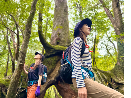 太鼓岩モーニングトレッキングツアー  朝の静寂した白谷雲水峡を抜け、絶景ビュースポット『太鼓岩』を目指してトレッキング！ by GUIDE OFFICE 屋久島