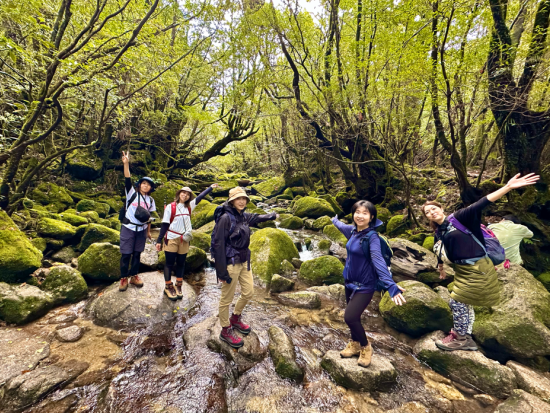 白谷雲水峡・苔むす森 3時間ショートトレッキングツアー  屋久島PROガイドがご案内 1名参加可能 貸切オプションあり by GUIDE OFFICE 屋久島