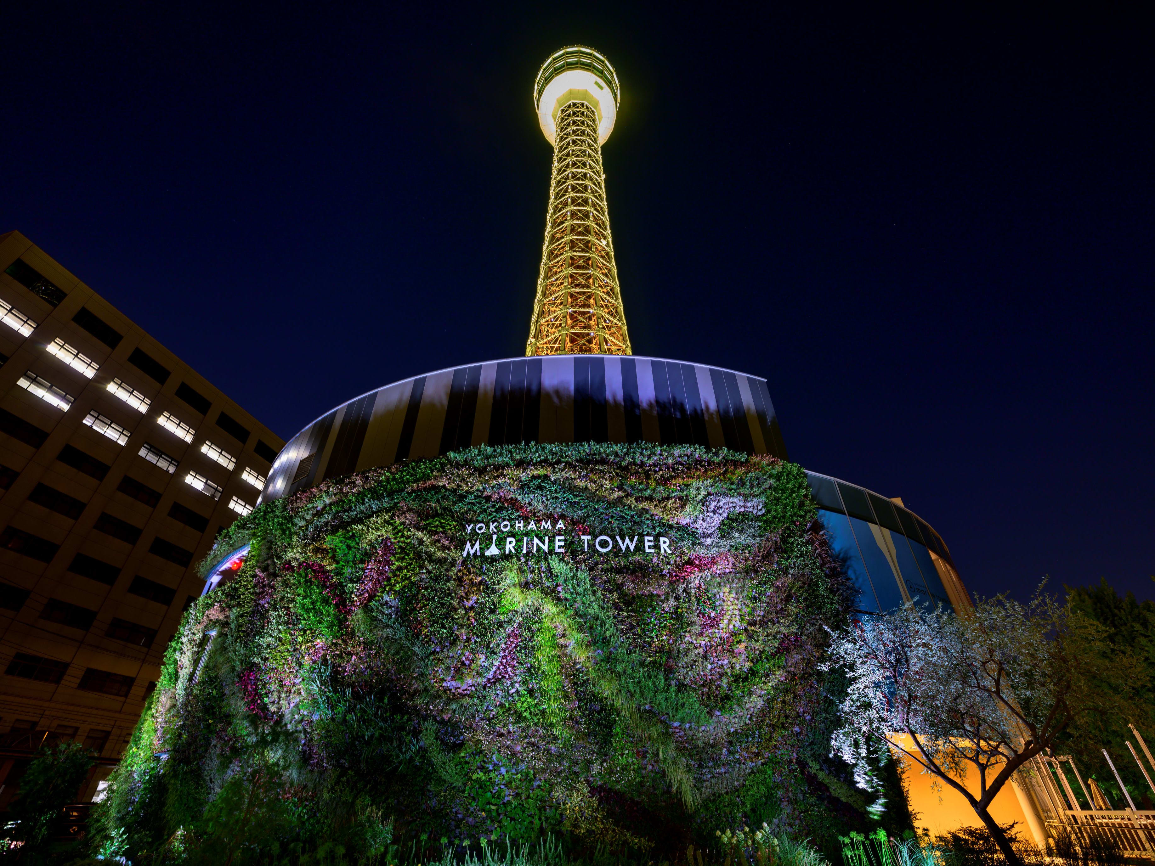 横浜マリンタワー展望フロアチケット 海と空と街の360°の絶景パノラマとアートの共演 ＜山下公園＞ |  横浜・みなとみらいの観光&遊び・体験・レジャー専門予約サイト VELTRA(ベルトラ)