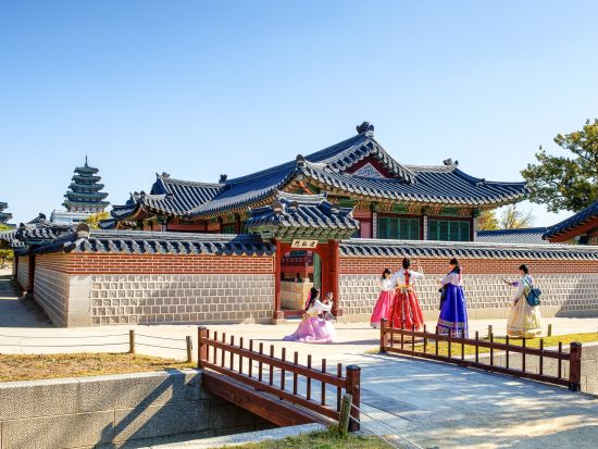 ソウル市内観光ツアー 景福宮（キョンボックン）＋青瓦台＋お弁当カフェ体験 益善洞・仁寺洞散策付きプランあり＜午前・1日／日本語ガイド＞