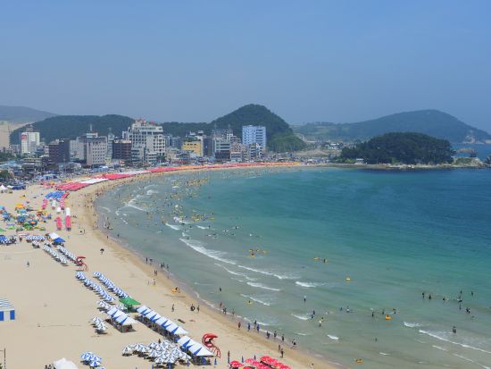 【クルーズ船利用者限定！混載ツアー】海東龍宮寺＆ 海雲台ブルーラインパーク＆タリットル展望台 釜山名物ケミチブのナッチポックン昼食込＜日本語ガイド＞