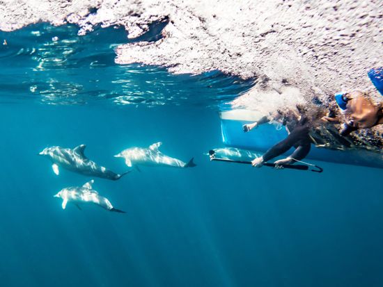 Copy of Temptation Front Swim