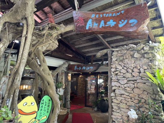 奄美の郷土料理『鶏飯』をオーシャンビュー・AMAネシアで堪能！ドリンク1杯無料特典　営業時間内ならいつでもOK＜笠利町＞ by 奄美リゾートばしゃ山村