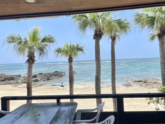 奄美の郷土料理『鶏飯』をオーシャンビュー・AMAネシアで堪能！ドリンク1杯無料特典　営業時間内ならいつでもOK＜笠利町＞ by 奄美リゾートばしゃ山村