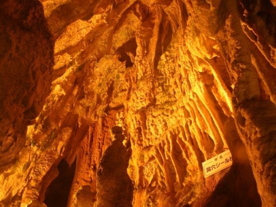 鍾乳洞セット券 高山濃飛バスセンターから鍾乳洞口間の往復バス＋飛騨大鍾乳洞入場券＜高山市＞