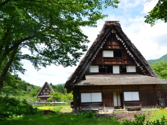 白川郷合掌造り民家園セット券 高山濃飛バスセンターから白川郷間の往復バス＋白川郷合掌造り民家園の入園券＜高山市＞