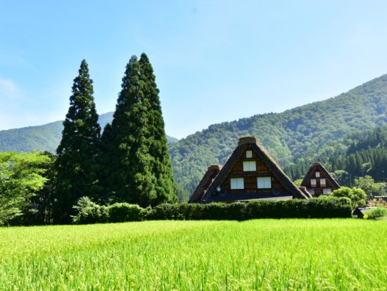 白川郷合掌造り民家園セット券 高山濃飛バスセンターから白川郷間の往復バス＋白川郷合掌造り民家園の入園券＜高山市＞