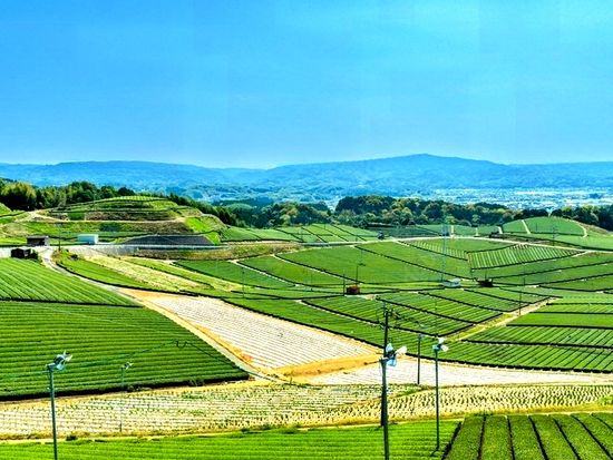 1_八女-B-5vvAUAZ-transformed