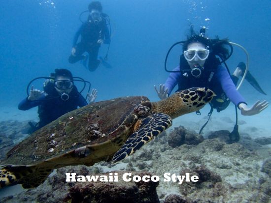 貸切体験ダイビング　インストラクター独占！初めてのダイビングにもオススメのプライベートツアー＜ビーチ／1ダイブ＞by ハワイココスタイル