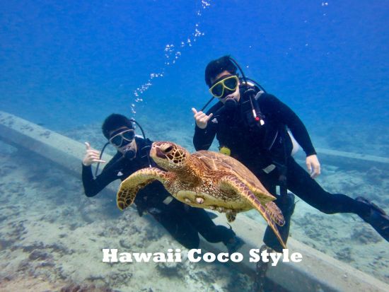 貸切体験ダイビング　インストラクター独占！初めてのダイビングにもオススメのプライベートツアー＜ビーチ／1ダイブ＞by ハワイココスタイル