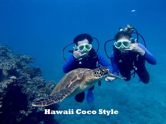 HCS_繝薙・繝∽ｽ馴ｨ薙ム繧､繝薙Φ繧ｰ-4