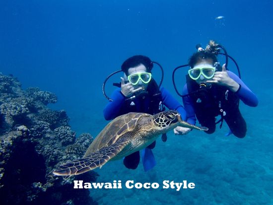 貸切体験ダイビング　インストラクター独占！初めてのダイビングにもオススメのプライベートツアー＜ビーチ／1ダイブ＞by ハワイココスタイル