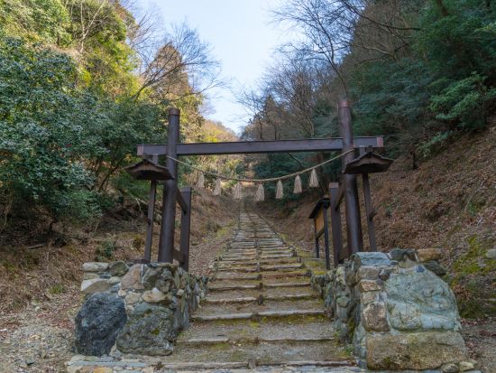 京都・山科ウォーキングツアー　地元ガイドと行く 偉大な自然と伝説が残る牛尾山ハイキング＜1名～／約3時間半／京都市＞