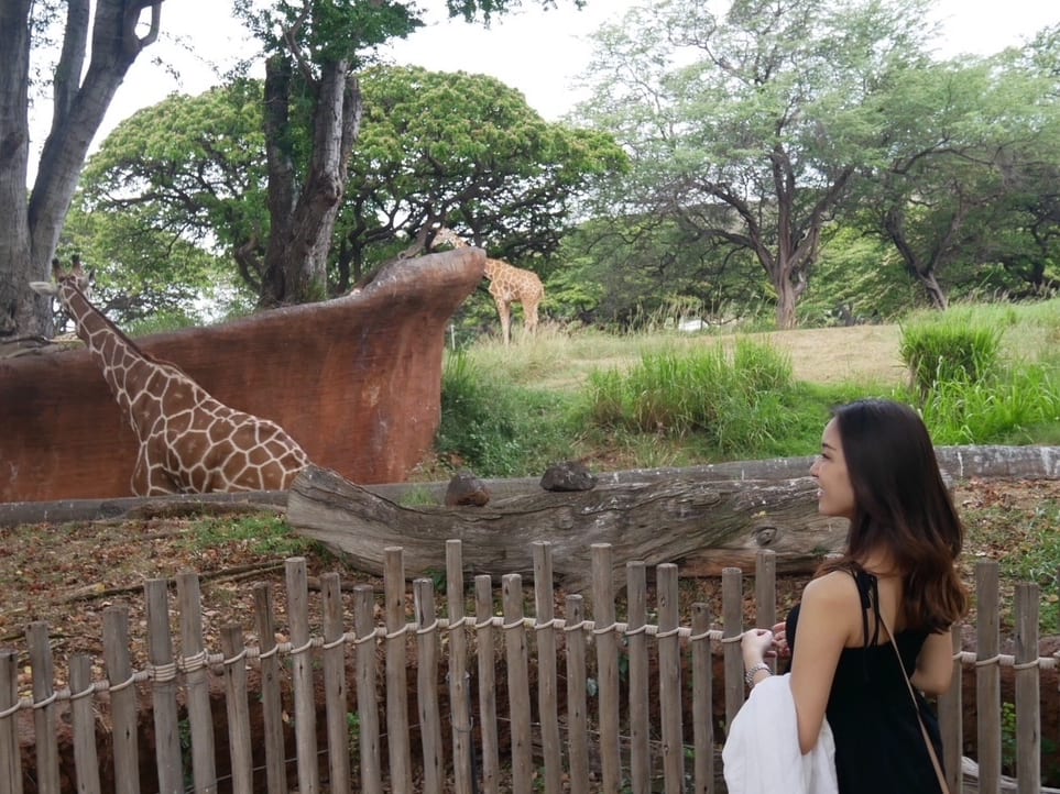 ダイヤモンドヘッド日の出ハイキング＋ホノルル動物園ツアー カハラ