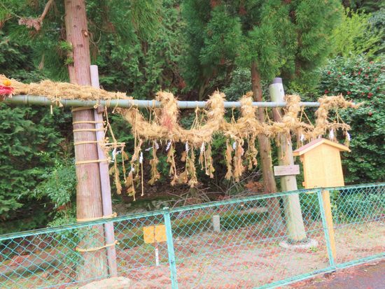 IMG_7969_convert_20190522073226