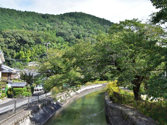 京都・山科ウォーキングツアー　地元ガイドと行く毘沙門堂界隈 神社仏閣巡り旅＜1名～／2時間半／山科駅発＞