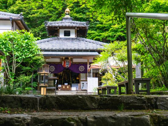 京都・山科ウォーキングツアー　地元ガイドと行く毘沙門堂界隈 神社仏閣巡り旅＜1名～／2時間半／山科駅発＞
