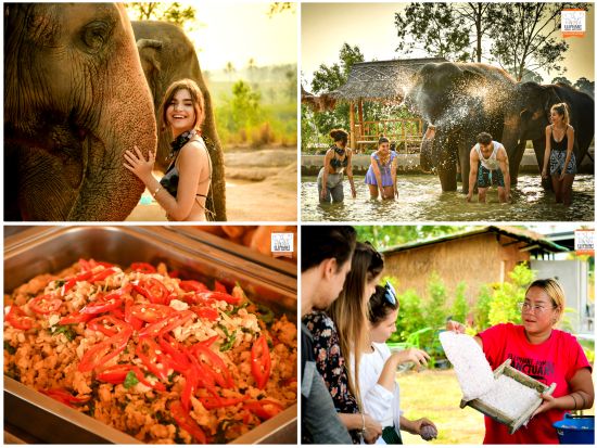 【パタヤ発】ゾウの保護区でふれあいエコツアー 餌やり・水浴び・泥んこスパ・紙づくり体験 写真撮影サービス付き！＜午前・午後／英語ガイド／食事付／ホテル送迎付＞