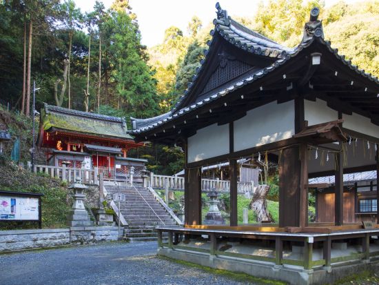 京都・山科ウォーキングツアー　女性におすすめ！最強御利益巡りと忠臣蔵ゆかりの岩屋寺へ＜2時間半／京都市＞