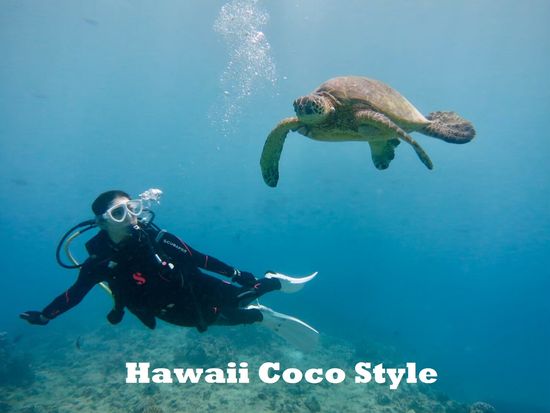 HCS_繝懊・繝井ｽ馴ｨ薙ム繧､繝薙Φ繧ｰ7