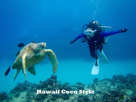 HCS_繝懊・繝井ｽ馴ｨ薙ム繧､繝薙Φ繧ｰ2