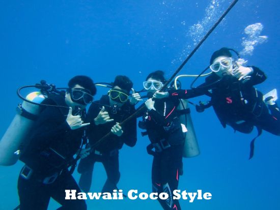 体験ダイビング　ワイキキ沖　高いウミガメ遭遇率を誇る、専属の日本語インストラクターがしっかりサポート！＜ボート／2ダイブ＞by ハワイココスタイル