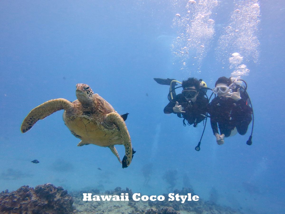 20230626054337_1985992882_1637