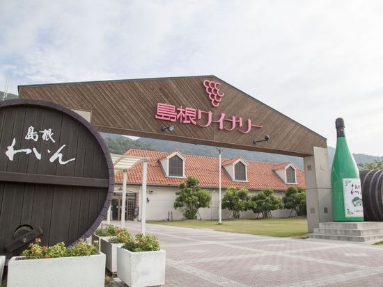 w016_2019030313064752269