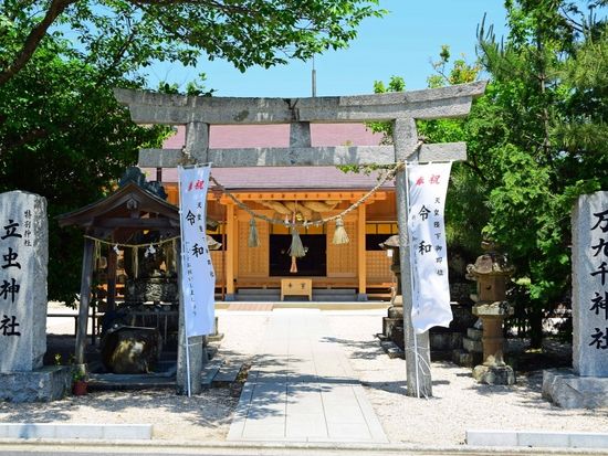 w016_2019082313453019217