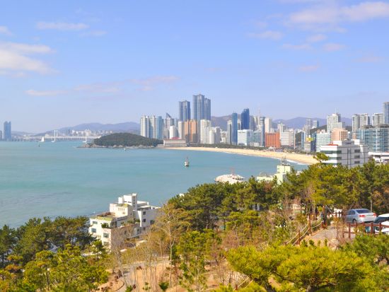 海女さんで有名な港町・蓮花里刺身村（ヨンファリ）で採れたて海鮮＆漁港の名物アワビ粥の朝食＋海東龍宮寺半日観光ツアー＜午前／日本語ガイド／ホテルお迎え＞