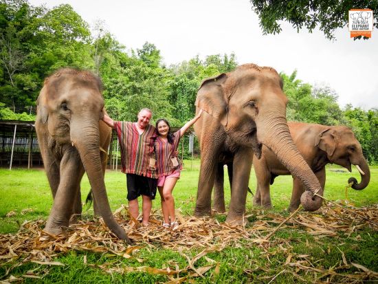 象にも環境にもやさしい施設で象と触れ合うエコツアー　餌やり・水浴び・泥スパ体験＜１日・半日／送迎付／英語ガイド／ランチ付／写真撮影サービス＞