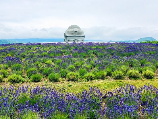 hill-of-the-buddha-takino-cemetery-11