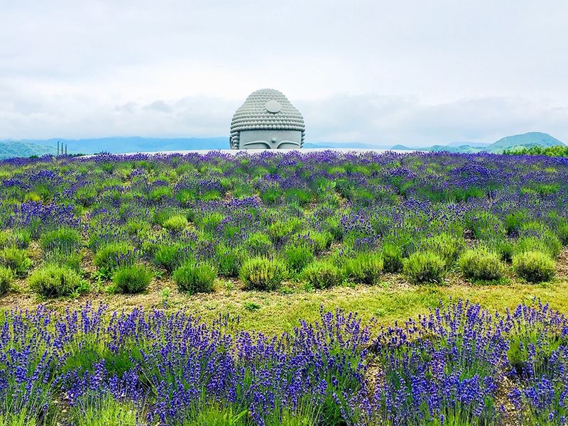 hill-of-the-buddha-takino-cemetery-11