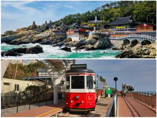 釜山市内半日観光ツアー　今話題の海辺エコ列車に乗車！海東龍宮寺＋海雲台ブルーラインパーク　 スカイカプセル乗車付きプランあり＜半日／日本語ガイド＞