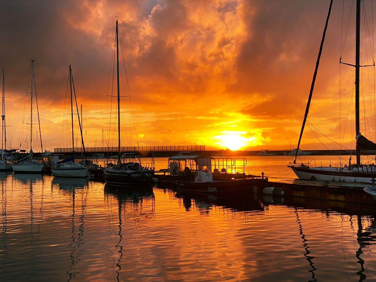 サンセットフィッシングツアー 夕日を眺めながら贅沢な船釣り体験 サンセットフィッシングツアー 夕日を眺めながら贅沢な船釣り体験
